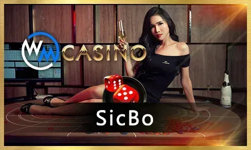 Casino Games and Roobet Exclusive Slots